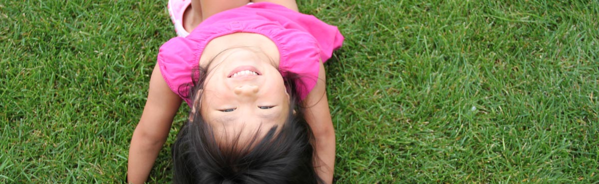 header_donate.jpg